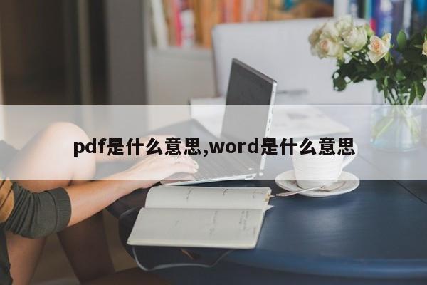 pdf是什么意思,word是什么意思