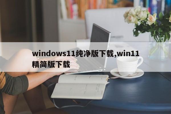 windows11纯净版下载,win11精简版下载