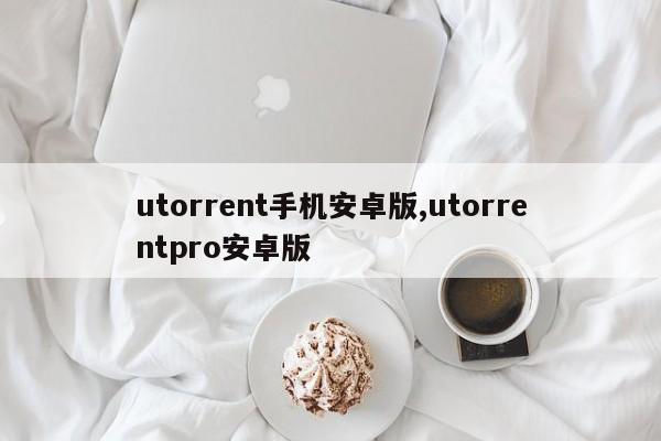 utorrent手机安卓版,utorrentpro安卓版